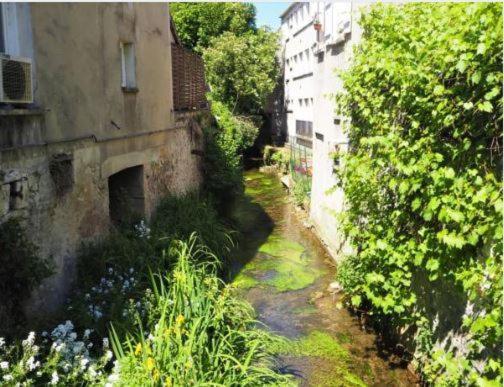 Le Gite Entre Val Et Rose Provins Extérieur photo